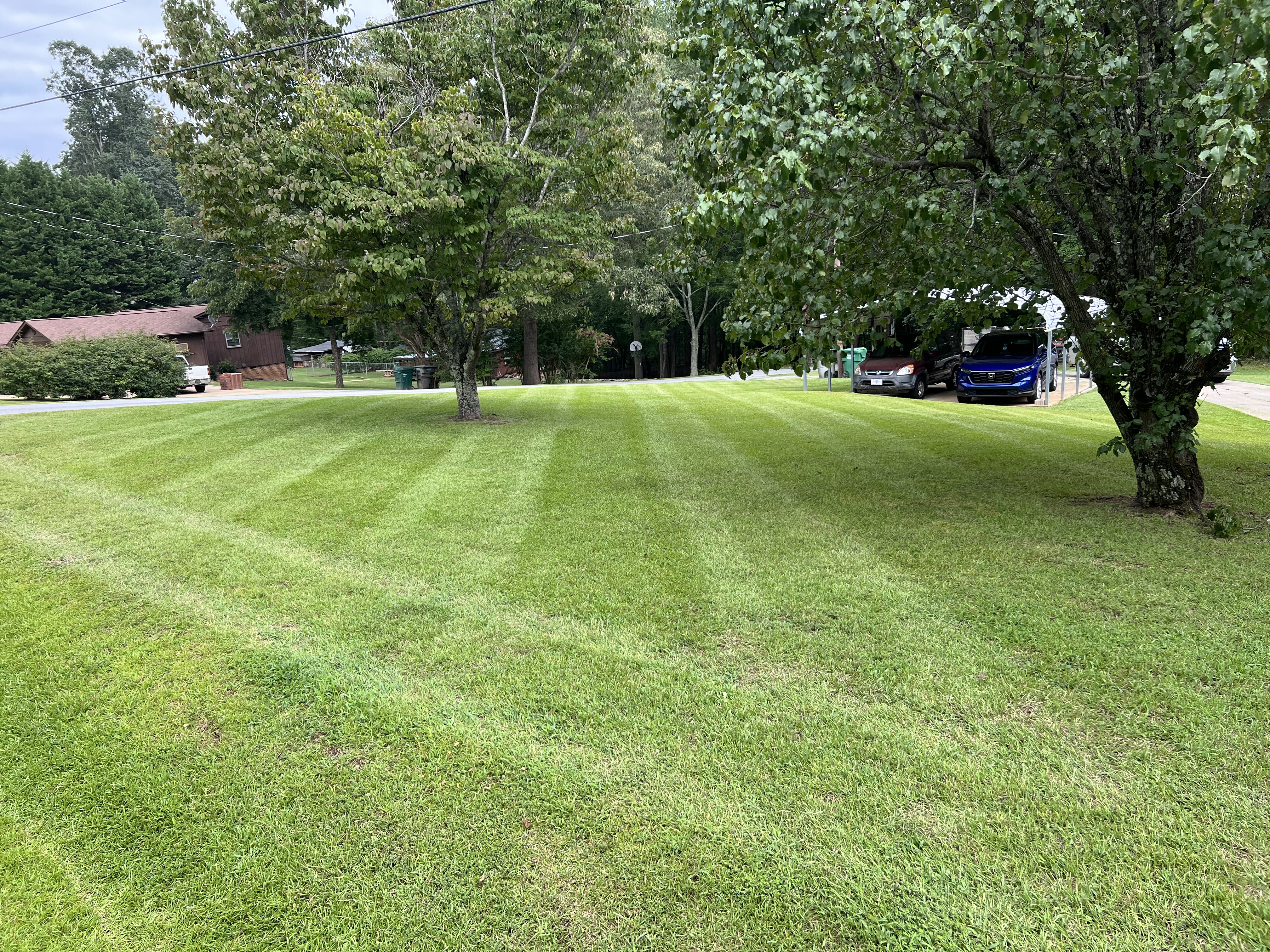 Fresh cut with clean mowing stripes
